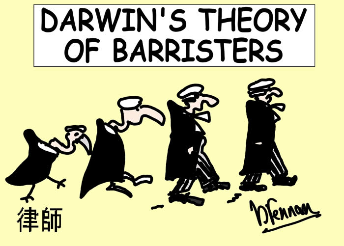 legal cartoon, darwin's theory of barristers paul brennan